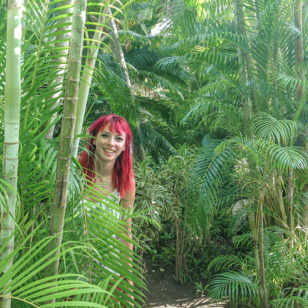 Im Dschungel, Cabarete, Dominikanische Republik, Karibik