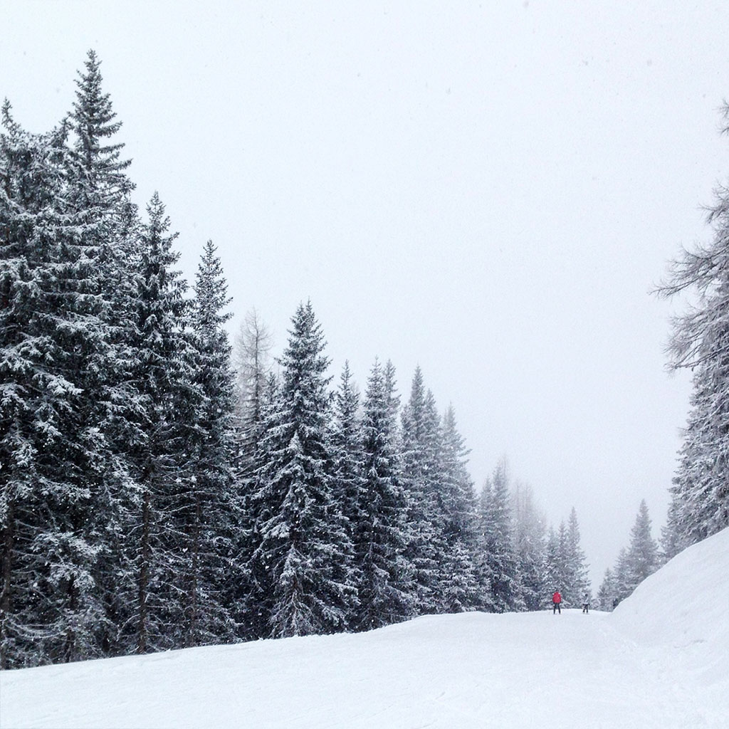 Österreich, Schladming - Schnee und Nebel